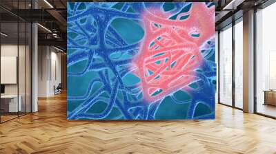 Inflammation concept, inflammated human tissues 3d rendering. Wall mural