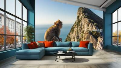 Young Barbery Ape sitting on a rock with the Rock of Gibraltar against the seascape Wall mural