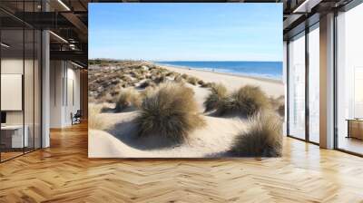 Amazing Sandy beach in Camargue region, in the South of France Wall mural