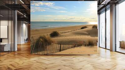 Natural and wild beach with a beautiful and vast area of dunes, Camargue region in the South of Montpellier, France Wall mural