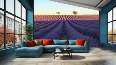 The amazing lavender field at Valensole in the gorgeous provence region in France
 Wall mural