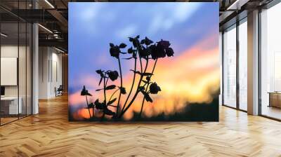 Beautiful cloudscape with blue sky and bright clouds at sunset in summer. Wall mural