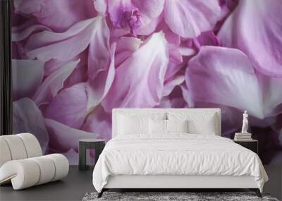 Pink rose flower petals for herbal tea or cosmetic products. Wall mural