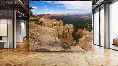 bryce canyon landscape overview Wall mural