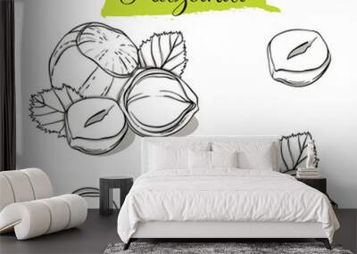 Hand drawn sketch style Hazelnut set. Single, group seeds, hazelnut in nutshells group. Organic nut, vector doodle illustrations collection isolated on white background. Wall mural