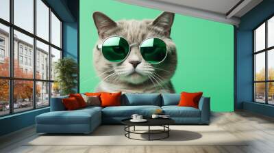 cat with green sunglasses, fun portrait, green background Wall mural