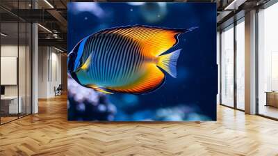 A group of colorful tropical fish swimming in the water, with vibrant colors and beautiful coral reefs around them Wall mural