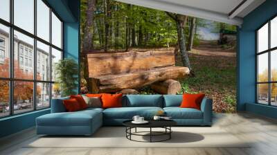 bench in the woods Wall mural