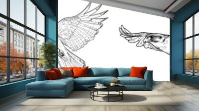 A black and white illustration of a falcon in flight with black linear design isolated on white background. A modern illustration depicting a bird of prey in flight. Wall mural