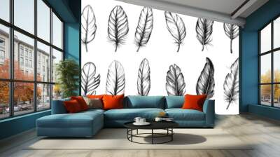 A set of bird feathers with an outline and transparent background. Hand drawn illustration with a modern twist. Wall mural