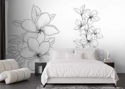 Continually line drawn plumeria flowers. Corner border with fragrant tropical plumeria (frangipani, jasmine) flowers in black. Wall mural