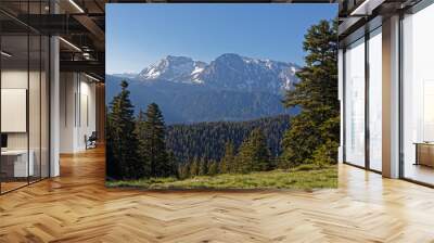 Forest and snowy summit of Taillefer mountain range Wall mural