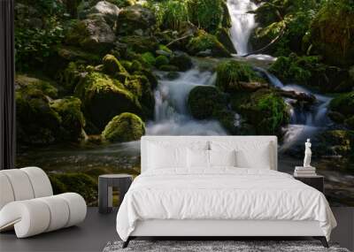 Small waterfall in a forest of Belledonne Wall mural