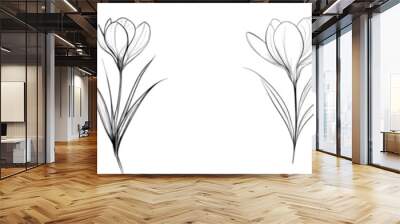 The crocus flower is drawn in continuous line art style. Simplistic black and white linear sketch isolated on white background. Wall mural