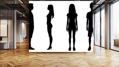 The silhouettes of male and female bodies. Male and female genders. Medicine body silhouettes. Wall mural