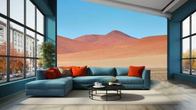 Amazing landscape in Namibia, Africa Wall mural