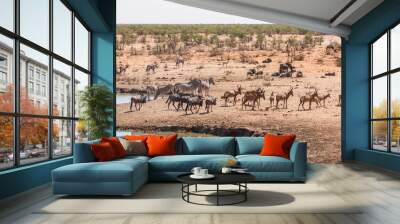 Antelopes in the desert, Africa Wall mural