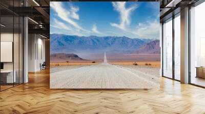 Gravel road and beautiful landscape in Namibia Wall mural