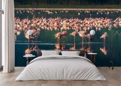 Flocks of pink flamingos Wall mural