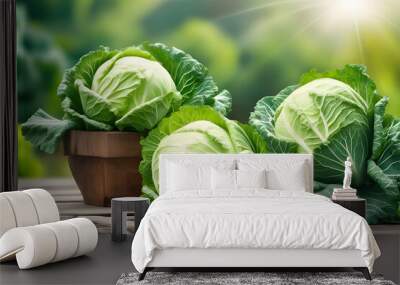 Fresh green cabbage on wooden table with blurred green nature background.  Wall mural