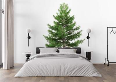 pine tree on white background Wall mural