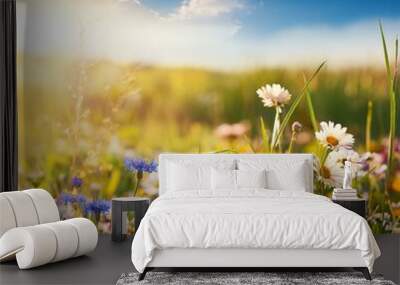 New Colorful field of spring flowers Wall mural