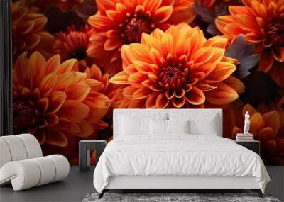 blossom orange flowers Wall mural