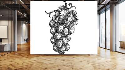 grape bunch green hand drawn. fruit vine, food wine, vine berry, red purple, leaf autumn grape bunch green vector sketch. isolated black illustration Wall mural