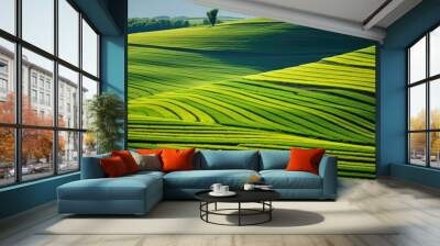 harvest farm fields Wall mural