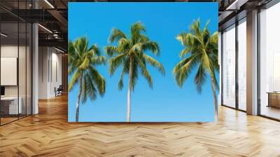 serene palm trees blue sky Wall mural