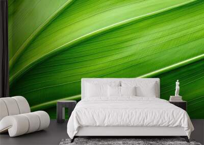 veins banana leaf background Wall mural