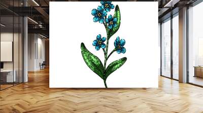 watercolor forget me not hand drawn. drawing line, isolated botanical, plant floral watercolor forget me not vector sketch. isolated color illustration Wall mural