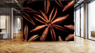 Badyan star anise spice close up Wall mural