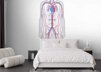 circulatory system anatomy Wall mural