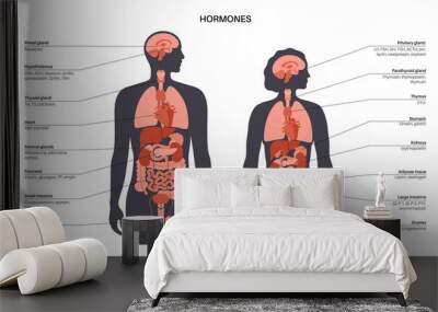 Hormones in human body Wall mural