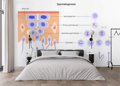 Reproductive system concept Wall mural