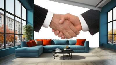 business handshake Wall mural