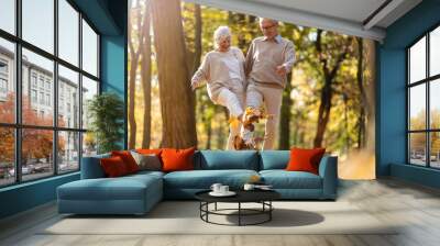 Happy senior couple in autumn park Wall mural