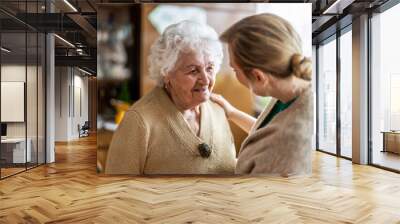 Health visitor talking to a senior woman during home visit
 Wall mural