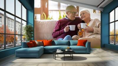 Portrait of a happy senior couple relaxing together at home  Wall mural