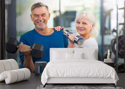 Senior couple exercising in gym
 Wall mural