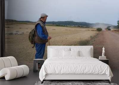 Shepherd grazing a flock of sheep in a field. On the edge of the dusty road. Wall mural