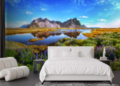 Beautiful sunny day and lupine flowers on Stokksnes cape in Iceland. Wall mural