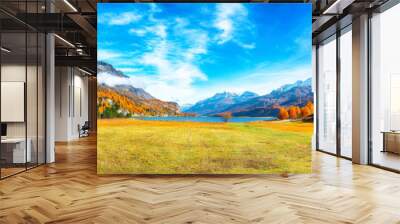 Charming autumn scene in Swiss Alps and views of Sils Lake (Silsersee). Wall mural