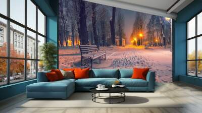 Winter evening in a central park. Wall mural