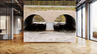 twin culvert tunnel road bridge crossing wild river Wall mural