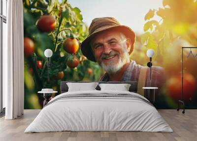 Farmer and agricultural occupation. Happy Eurpean male worker working on harvesting ripe tomatoes at a farm Wall mural