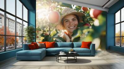 Farmer and agricultural occupation. Happy young female worker working with ripe apples at a pomme fruit orchard Wall mural