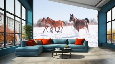 Horses galloping wide open down hill in a snowy winter pasture Wall mural