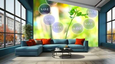 money coins,Business investment growth concept,saving concept Wall mural